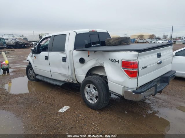 Photo 2 VIN: 1FTFW1ET6DKE62302 - FORD F-150 