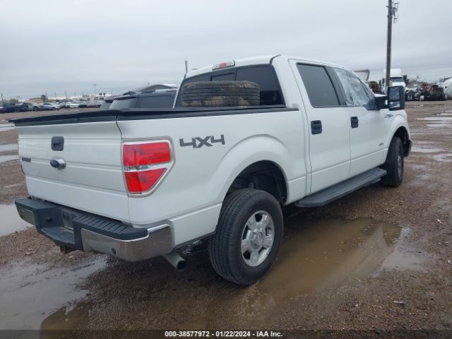 Photo 3 VIN: 1FTFW1ET6DKE62302 - FORD F-150 