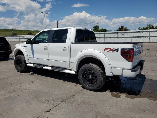 Photo 1 VIN: 1FTFW1ET6DKE73543 - FORD F-150 