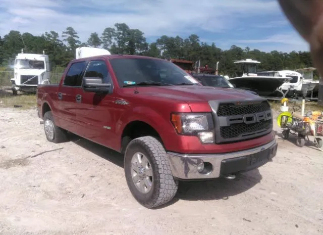 Photo 0 VIN: 1FTFW1ET6DKF79894 - FORD F-150 