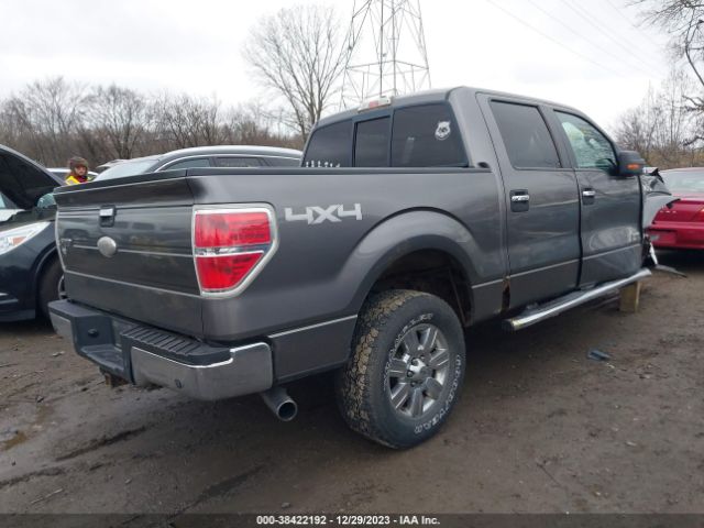 Photo 3 VIN: 1FTFW1ET7BFD07277 - FORD F-150 