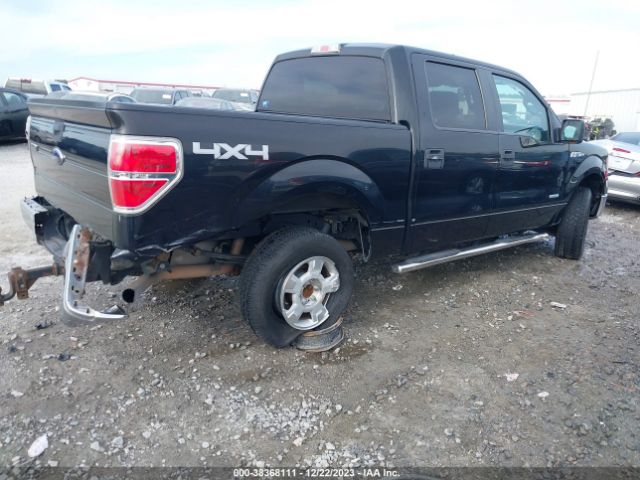 Photo 3 VIN: 1FTFW1ET7DFD04155 - FORD F-150 