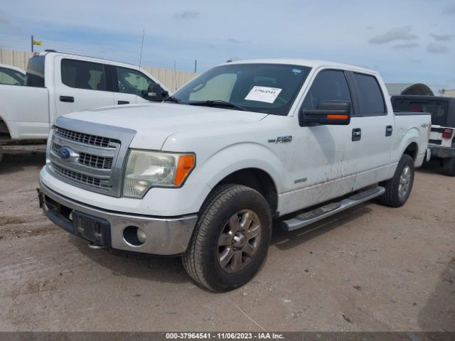 Photo 1 VIN: 1FTFW1ET7DKD89358 - FORD F-150 