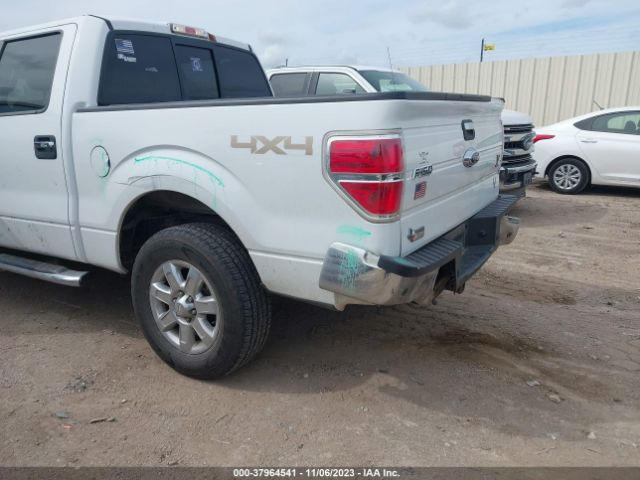 Photo 5 VIN: 1FTFW1ET7DKD89358 - FORD F-150 