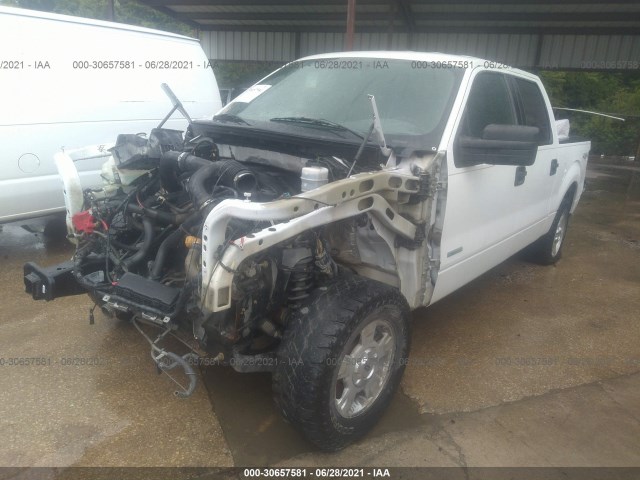 Photo 1 VIN: 1FTFW1ET7DKF48394 - FORD F-150 