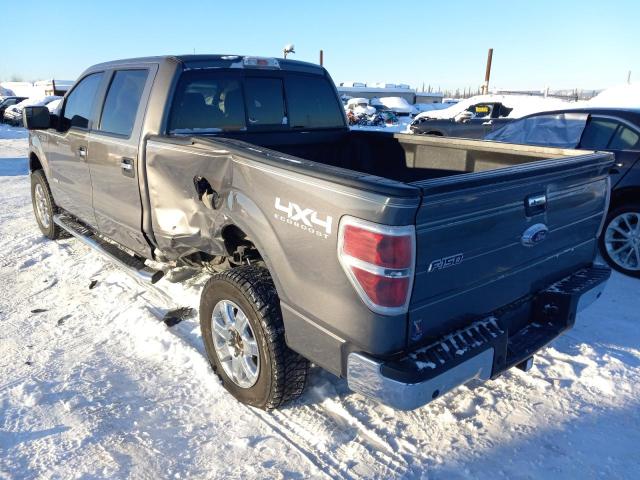 Photo 1 VIN: 1FTFW1ET7DKF95876 - FORD F-150 