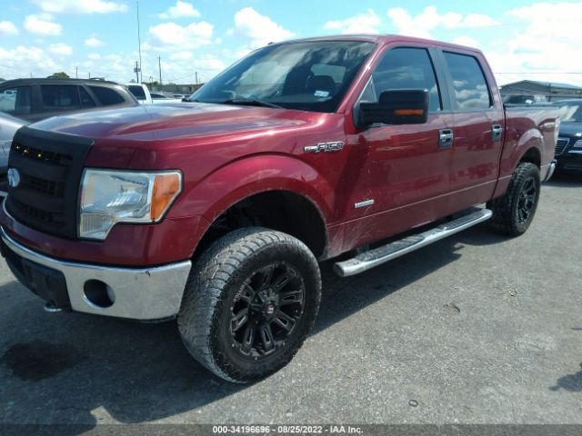 Photo 1 VIN: 1FTFW1ET7DKG24034 - FORD F-150 