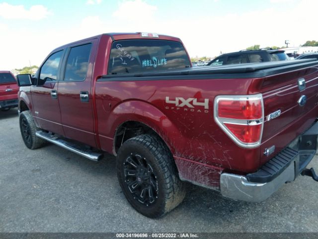 Photo 2 VIN: 1FTFW1ET7DKG24034 - FORD F-150 