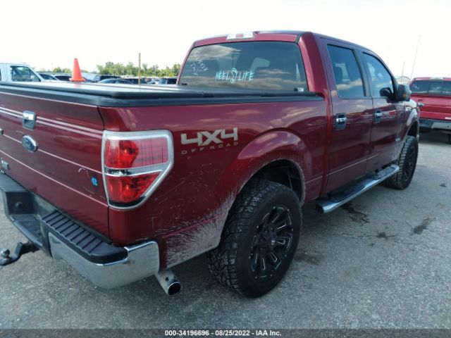 Photo 3 VIN: 1FTFW1ET7DKG24034 - FORD F-150 