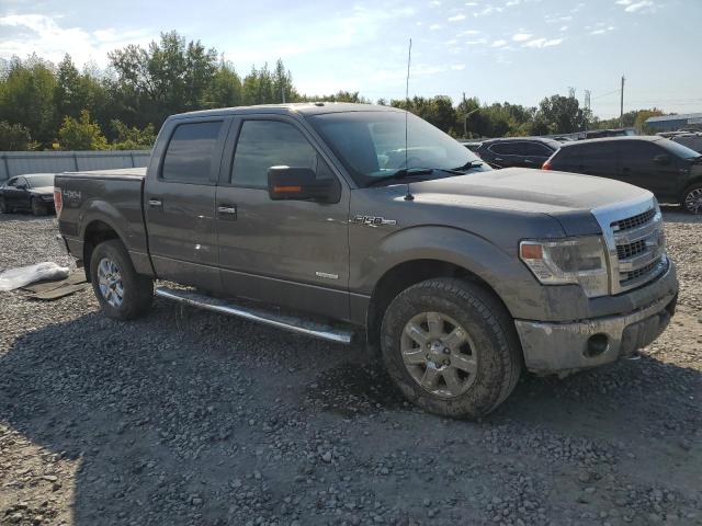 Photo 3 VIN: 1FTFW1ET7EFB98503 - FORD F150 SUPER 