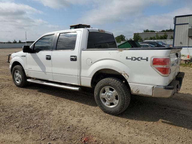 Photo 1 VIN: 1FTFW1ET7EKF74690 - FORD F150 SUPER 