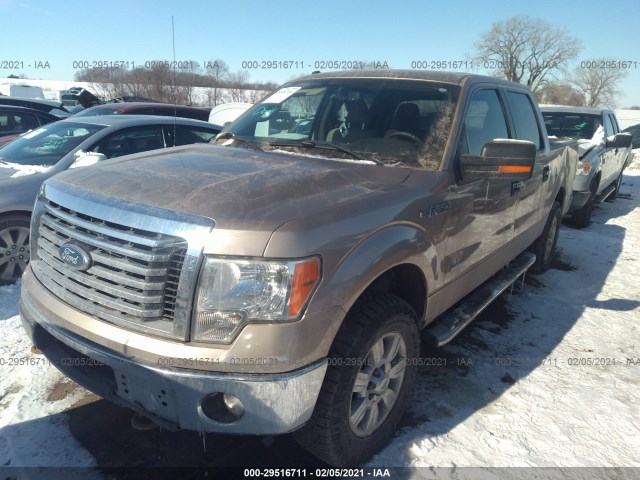 Photo 1 VIN: 1FTFW1ET8BFD29286 - FORD F-150 