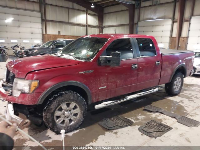 Photo 1 VIN: 1FTFW1ET8CFC66949 - FORD F-150 