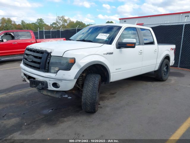 Photo 1 VIN: 1FTFW1ET8DFB36848 - FORD F-150 