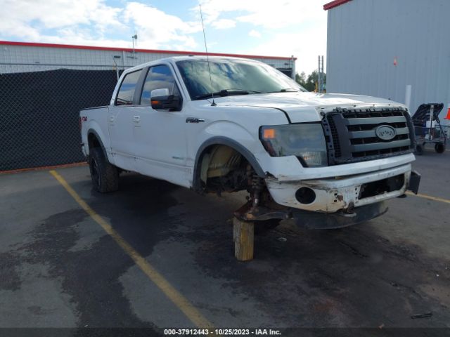 Photo 5 VIN: 1FTFW1ET8DFB36848 - FORD F-150 