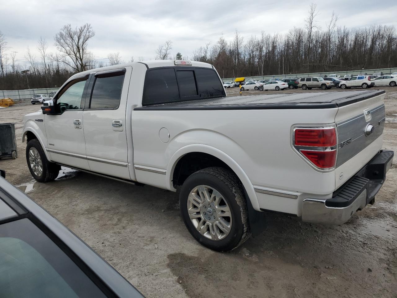 Photo 1 VIN: 1FTFW1ET8DFC10446 - FORD F-150 