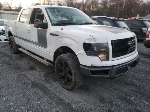 Photo 8 VIN: 1FTFW1ET8DFD74165 - FORD F150 SUPER 