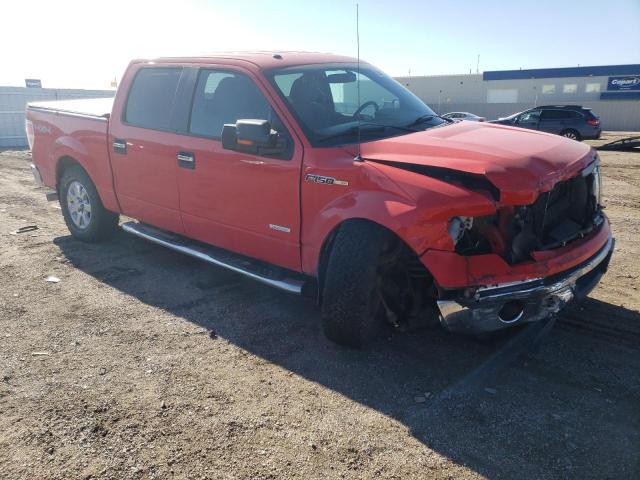 Photo 3 VIN: 1FTFW1ET8DKD53629 - FORD F-150 