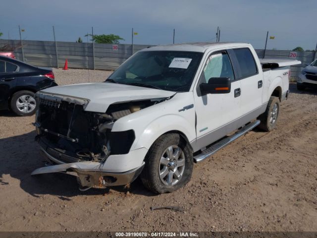 Photo 1 VIN: 1FTFW1ET8DKD92818 - FORD F150 