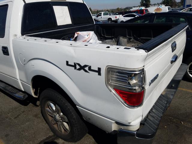 Photo 8 VIN: 1FTFW1ET8DKE04966 - FORD F150 SUPER 