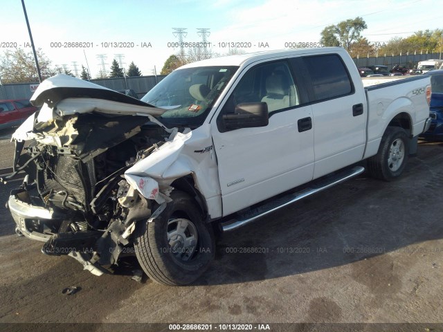 Photo 1 VIN: 1FTFW1ET8DKF30356 - FORD F-150 