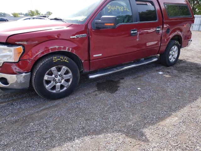 Photo 8 VIN: 1FTFW1ET8EFA03525 - FORD F150 SUPER 