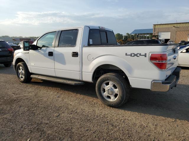 Photo 1 VIN: 1FTFW1ET9CKD44503 - FORD F150 SUPER 