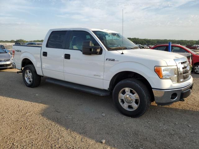 Photo 3 VIN: 1FTFW1ET9CKD44503 - FORD F150 SUPER 