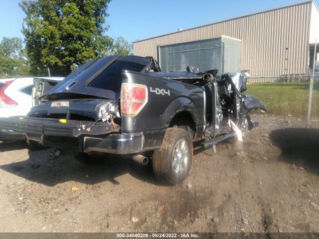 Photo 3 VIN: 1FTFW1ET9DFA03550 - FORD F-150 