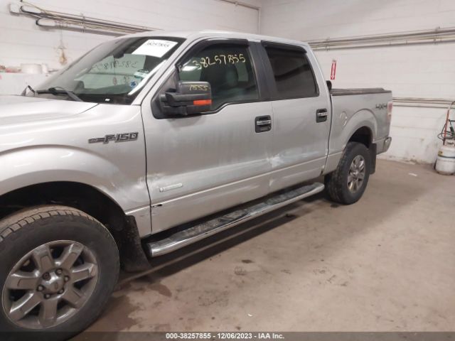 Photo 5 VIN: 1FTFW1ET9DKE17645 - FORD F-150 