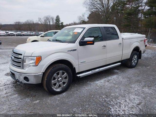 Photo 1 VIN: 1FTFW1ET9DKF51748 - FORD F-150 