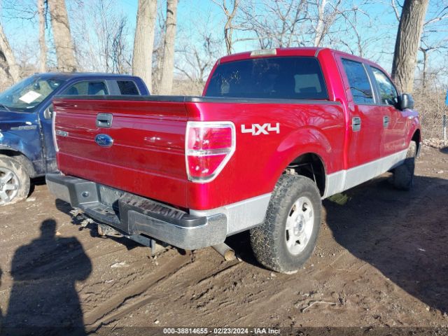 Photo 3 VIN: 1FTFW1ET9EFA32306 - FORD F-150 