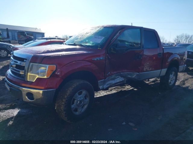 Photo 5 VIN: 1FTFW1ET9EFA32306 - FORD F-150 