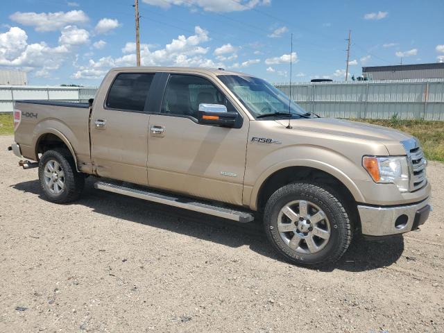 Photo 3 VIN: 1FTFW1ET9EKD52846 - FORD F150 SUPER 