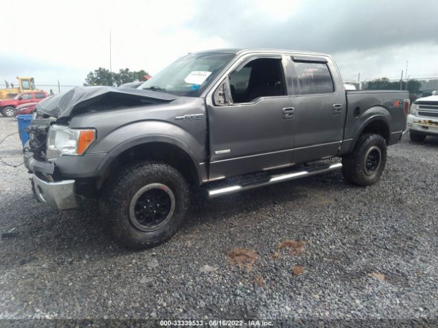 Photo 1 VIN: 1FTFW1ETXBFB01046 - FORD F-150 