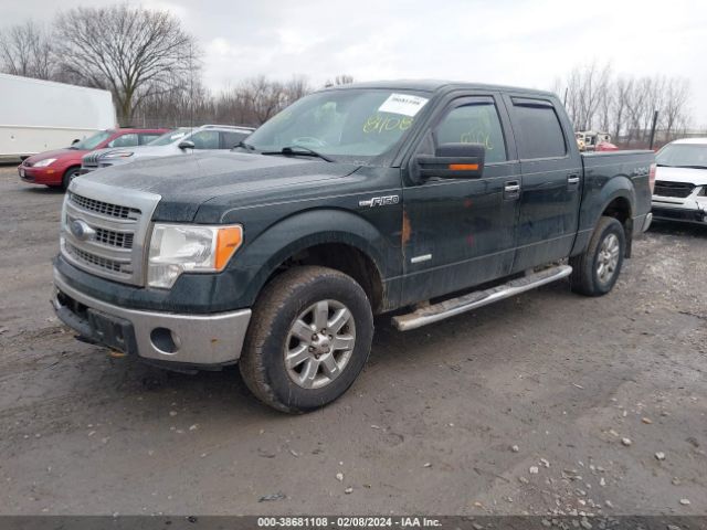 Photo 1 VIN: 1FTFW1ETXDFA33723 - FORD F-150 