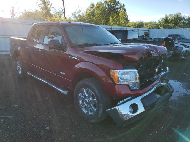 Photo 0 VIN: 1FTFW1ETXDFD97849 - FORD F150 SUPER 