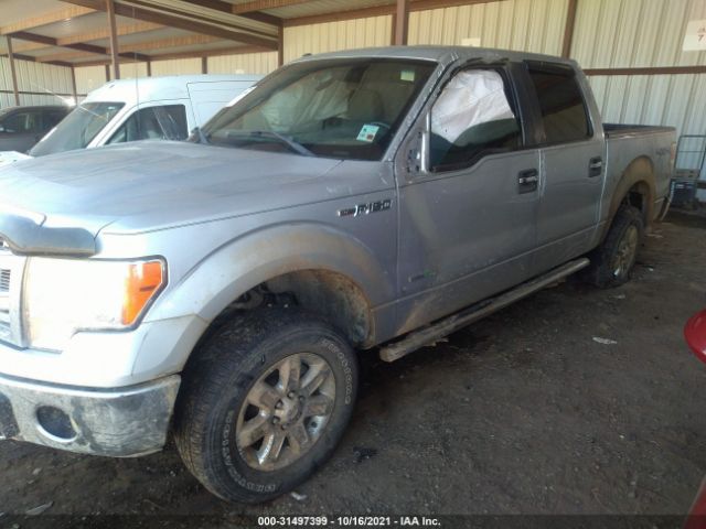 Photo 5 VIN: 1FTFW1ETXDKD03234 - FORD F-150 