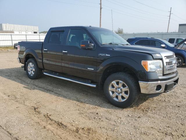 Photo 3 VIN: 1FTFW1ETXDKD09387 - FORD F-150 