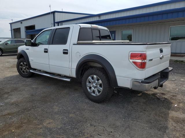 Photo 1 VIN: 1FTFW1ETXDKE28122 - FORD F150 SUPER 