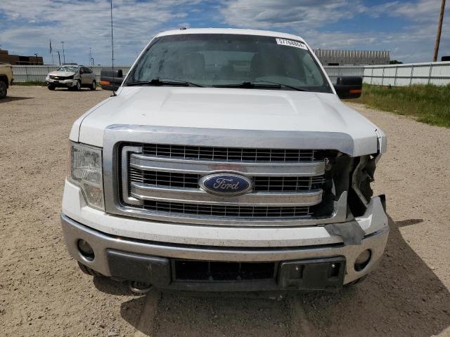 Photo 4 VIN: 1FTFW1ETXEKG15586 - FORD F150 SUPER 