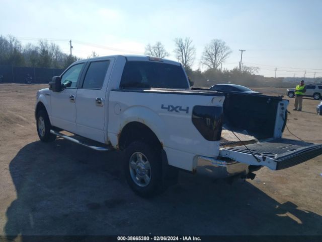 Photo 2 VIN: 1FTFW1EV0AFB34038 - FORD F150 SUPER 