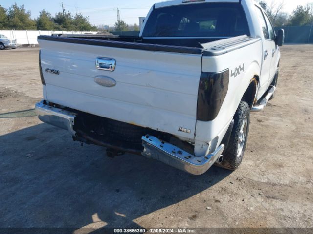 Photo 5 VIN: 1FTFW1EV0AFB34038 - FORD F150 SUPER 