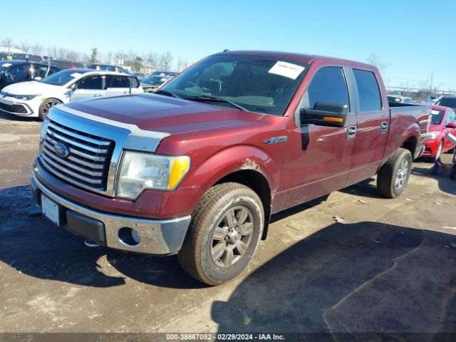 Photo 1 VIN: 1FTFW1EV0AFC99524 - FORD F-150 