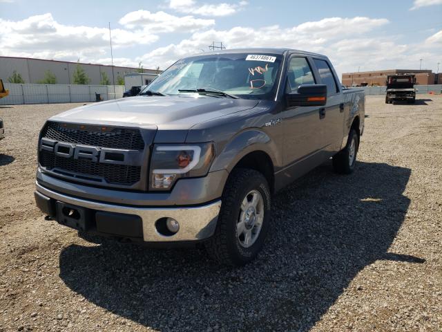 Photo 1 VIN: 1FTFW1EV1AFA81608 - FORD F150 SUPER 