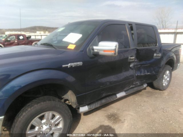 Photo 5 VIN: 1FTFW1EV1AFA96979 - FORD F-150 