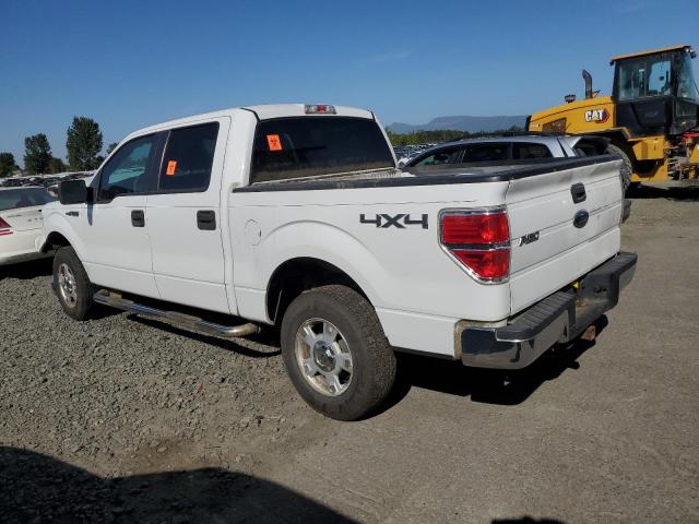 Photo 1 VIN: 1FTFW1EV2AFA89247 - FORD F150 SUPER 