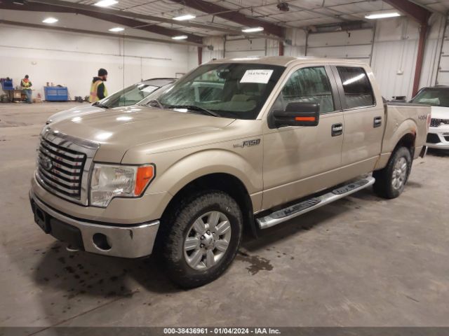 Photo 1 VIN: 1FTFW1EV2AFC28597 - FORD F-150 