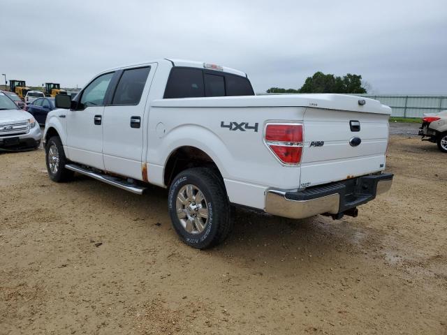 Photo 1 VIN: 1FTFW1EV2AFD30806 - FORD F-150 