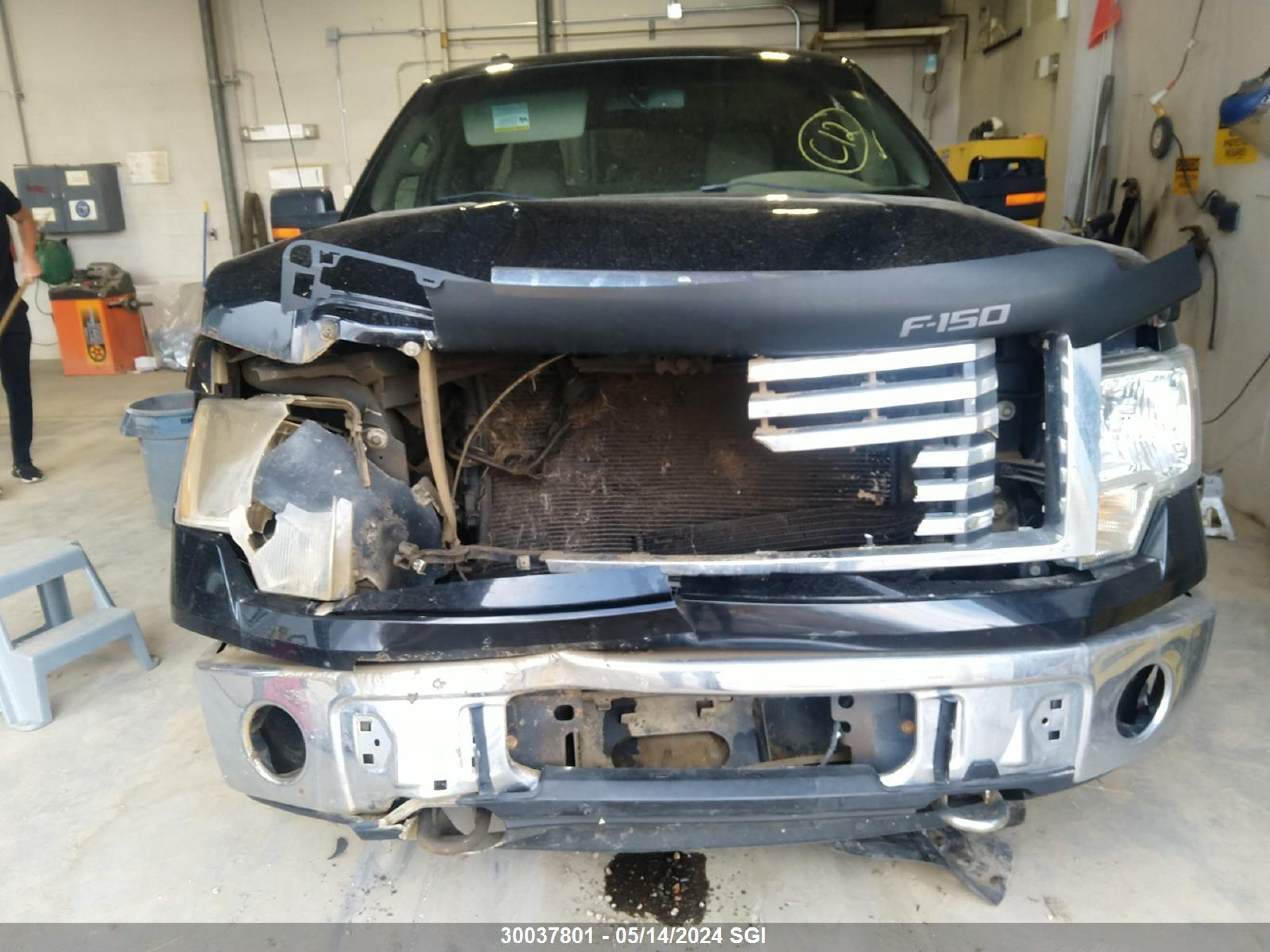 Photo 12 VIN: 1FTFW1EV2AFD67841 - FORD F-150 